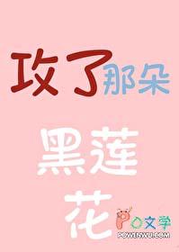 攻了那朵黑莲花讲的什么