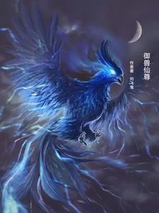 御兽天尊原版