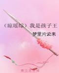 我要看琼瑶儿子