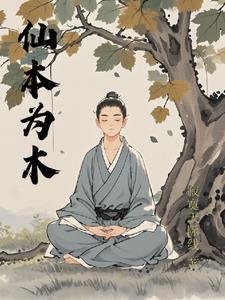 重生三国赵云英雄救美
