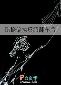 江湖男儿阳子下全文阅读